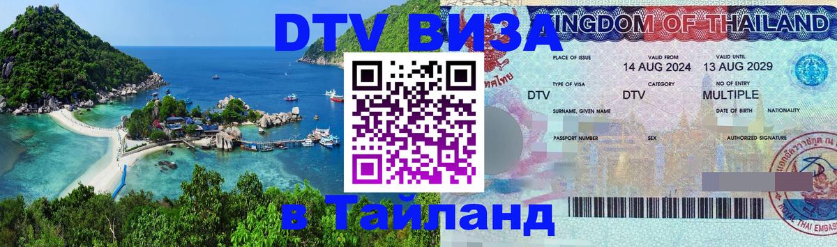 Сколько стоит DTV виза — актуальные цены, оформление даже без документов - 09.01.2026 